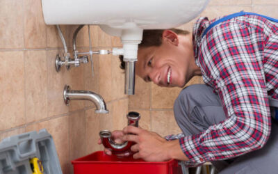 5 Practical Tips to Pet-Proof Your Plumbing System